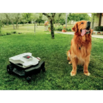 Rasaerba robotizzato Ambrogio L25 Elite 5Ah - immagine 3