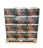 Legnetti Accendifuoco di Latifoglie - 22 cm - Certificati FSC e BiomassPlus - Naturali, Ecologici - Per Barbecue, Camini, Stufe e Forni. 36 scatole