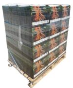 Legnetti Accendifuoco di Latifoglie - 22 cm - Certificati FSC e BiomassPlus - Naturali, Ecologici - Per Barbecue, Camini, Stufe e Forni. 36 scatole - immagine 3